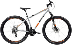 B.CALOI TWO NINER ALLOY SUNRUN 17R29V21 PTA A21